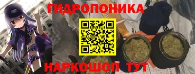 spice Рыбинск