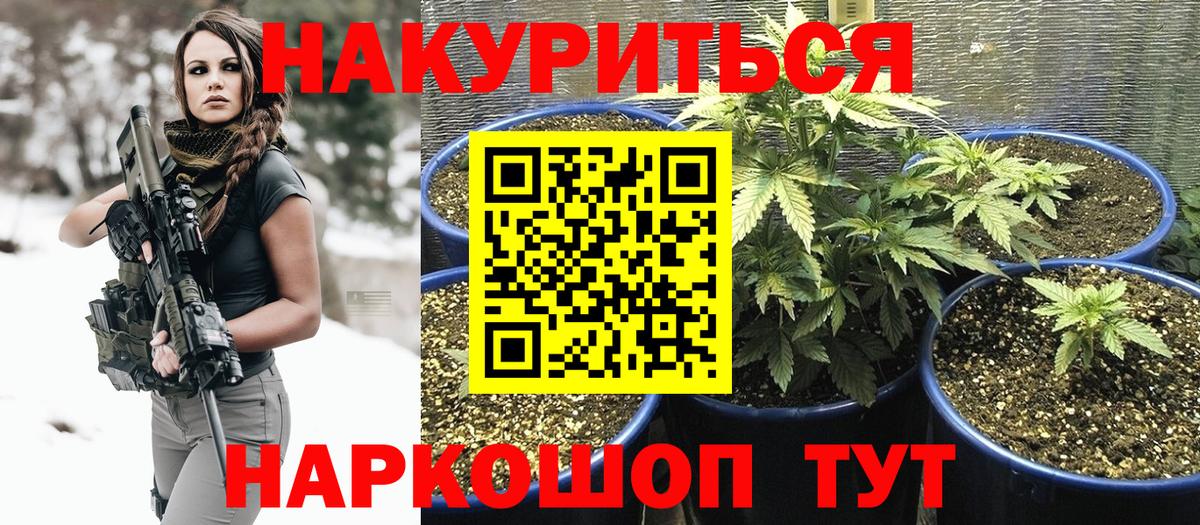 Советский  Каннабис AK-47  Каннабис сатива  МАРИХУАНА семена  Вход с VPN 